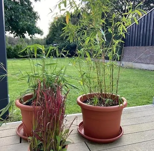 Appartement Kleines Einzelzimmer Nr. 6 In *